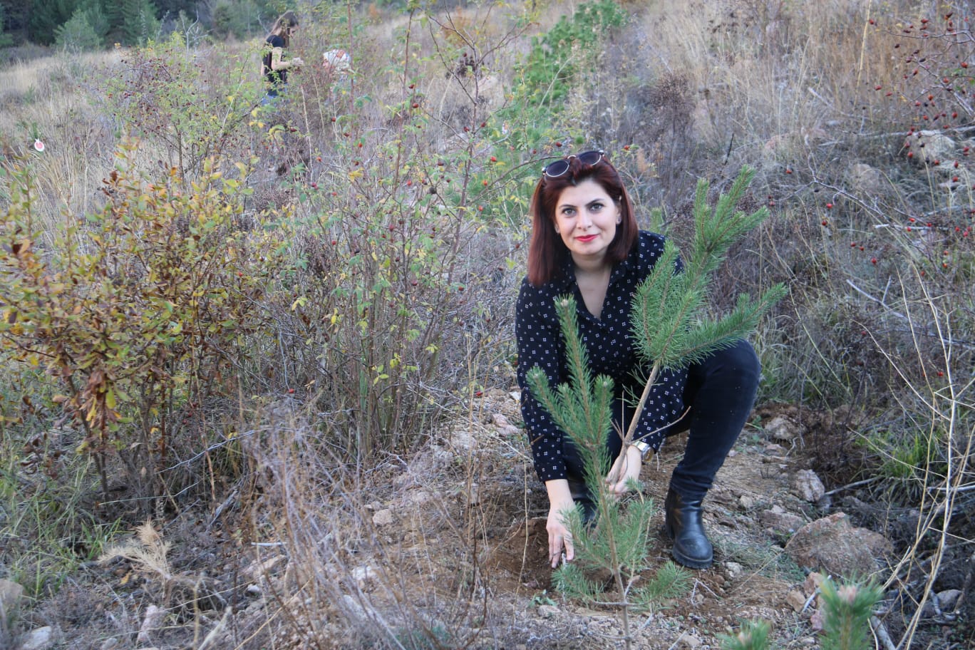 Gümüşhane KYK Ormanı büyümeye devam ediyor 15