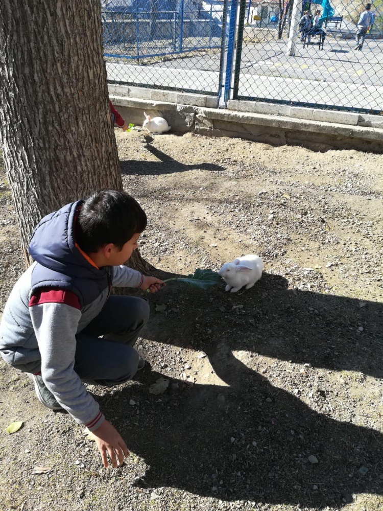 ‘Kitap Kardeşliği’ projesi devam ediyor 7