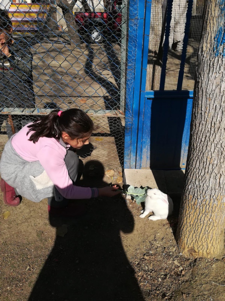 ‘Kitap Kardeşliği’ projesi devam ediyor 4