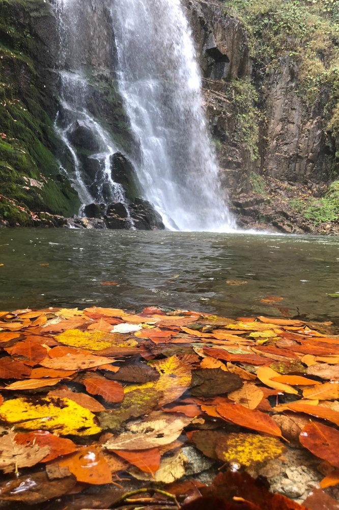 Gümüşhaneli dağcılardan renk cümbüşünde yürüyüş 3