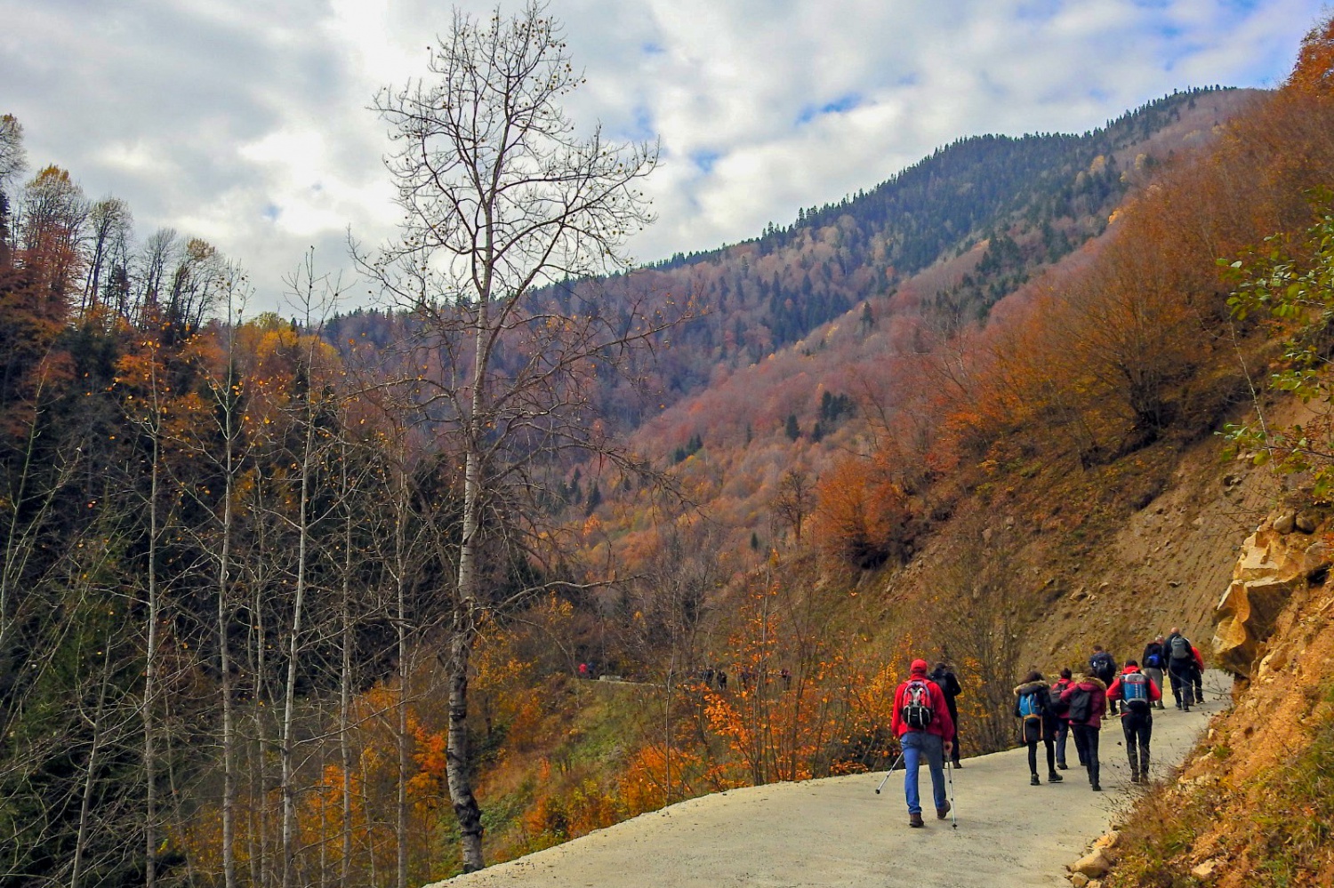 Gümüşhaneli dağcılardan renk cümbüşünde yürüyüş 6