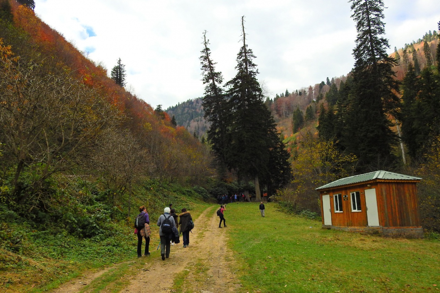 Gümüşhaneli dağcılardan renk cümbüşünde yürüyüş 7