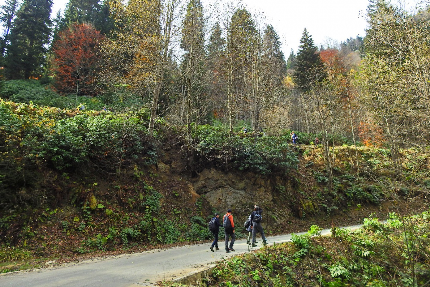 Gümüşhaneli dağcılardan renk cümbüşünde yürüyüş 8
