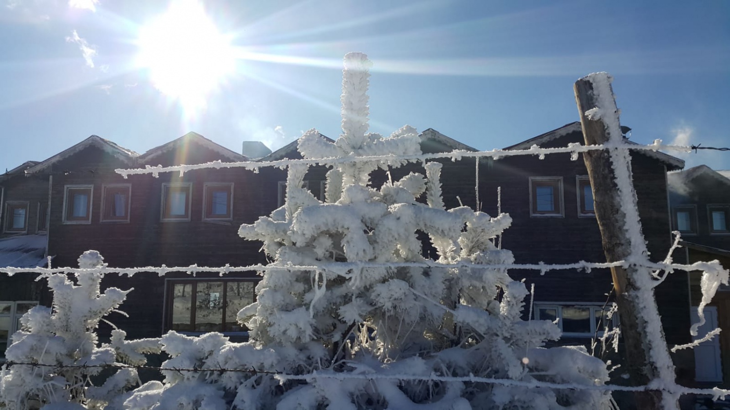 Zigana’da kızak keyfi hızlı başladı 3