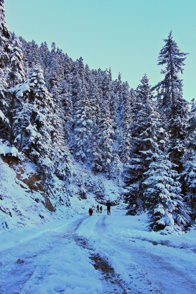 Gümüşhaneli dağcılardan tarihi ipek yolunda beyaz yürüyüş 6