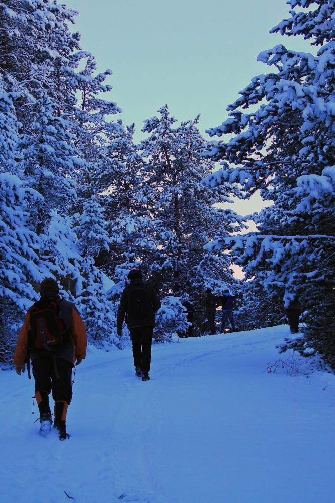 Gümüşhaneli dağcılardan tarihi ipek yolunda beyaz yürüyüş 8