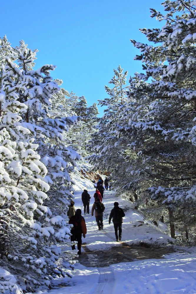 Gümüşhaneli dağcılardan tarihi ipek yolunda beyaz yürüyüş 31