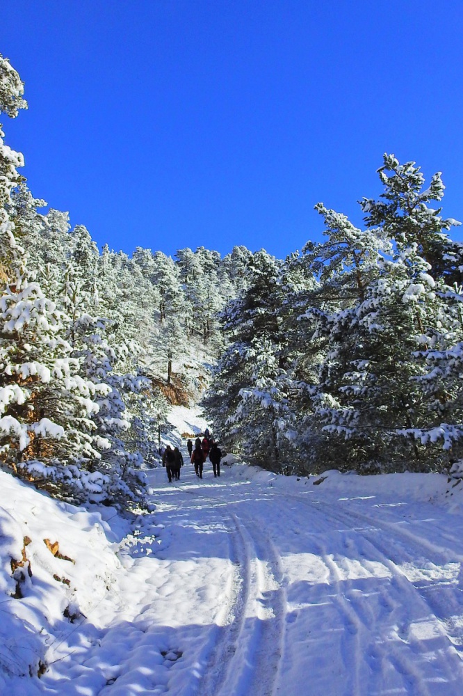 Gümüşhaneli dağcılardan tarihi ipek yolunda beyaz yürüyüş 10