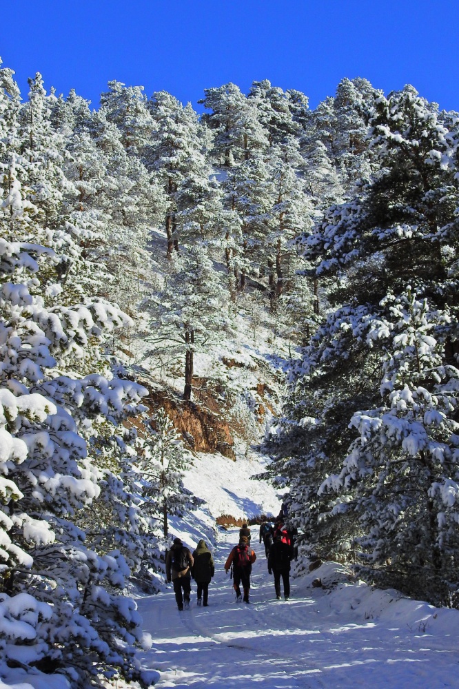 Gümüşhaneli dağcılardan tarihi ipek yolunda beyaz yürüyüş 15
