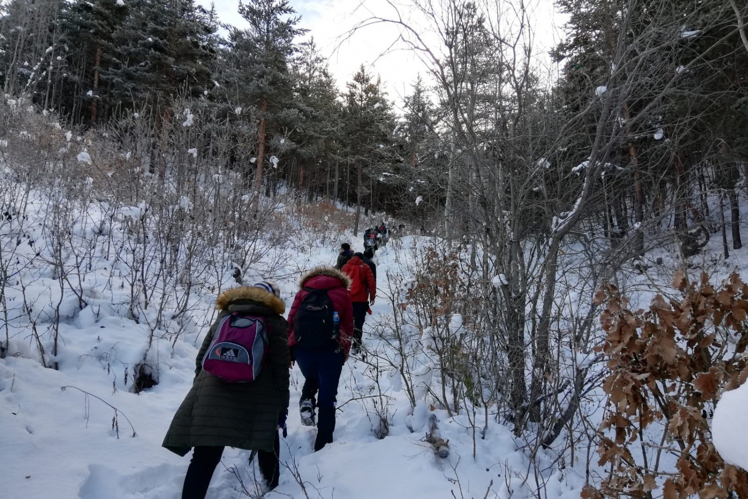 Gümüşhaneli dağcılar Sarıkamış şehitleri için yürüdü 12