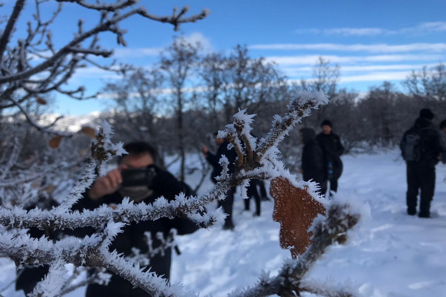 Gümüşhaneli dağcılar Sarıkamış şehitleri için yürüdü 20