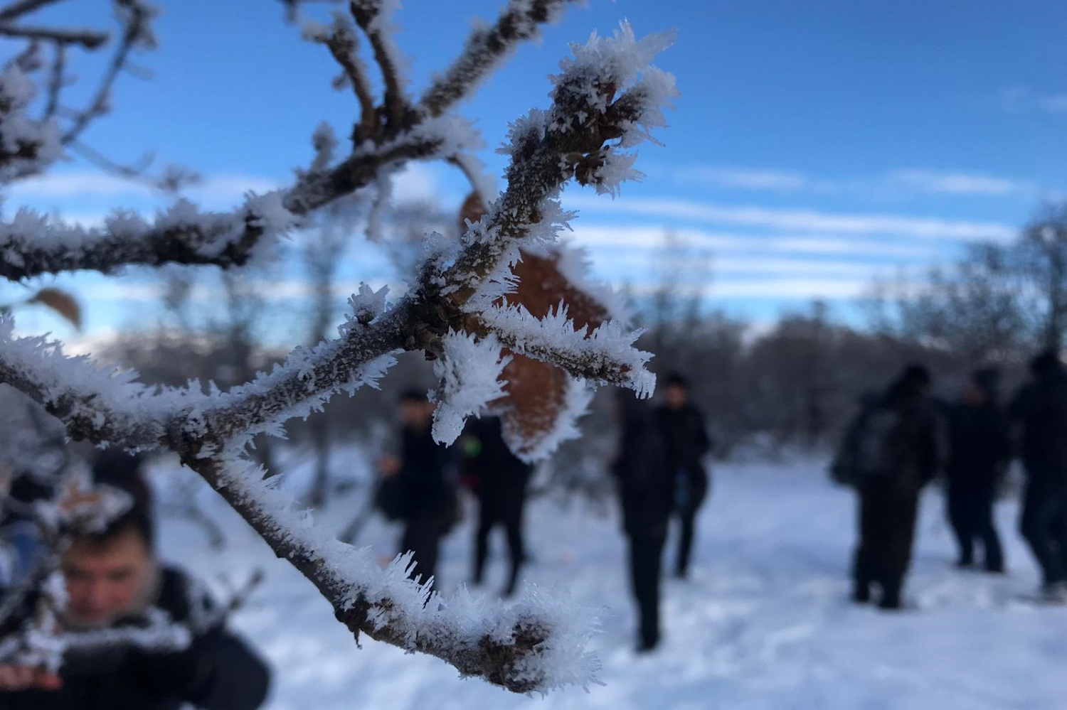 Gümüşhaneli dağcılar Sarıkamış şehitleri için yürüdü 34