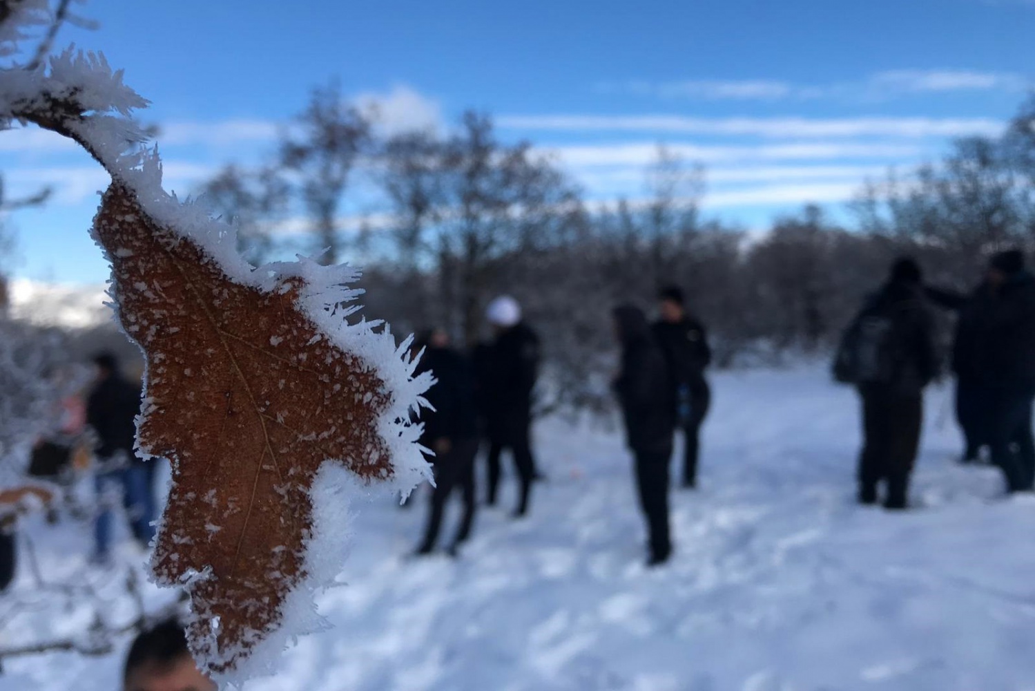 Gümüşhaneli dağcılar Sarıkamış şehitleri için yürüdü 19