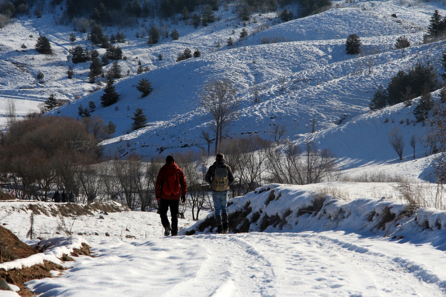 Gümüşhaneli dağcılar Sarıkamış şehitleri için yürüdü 33