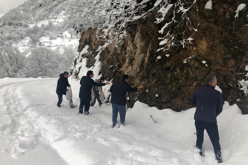 Kürtün’de yaban hayvanları için doğaya yem bırakıldı 6