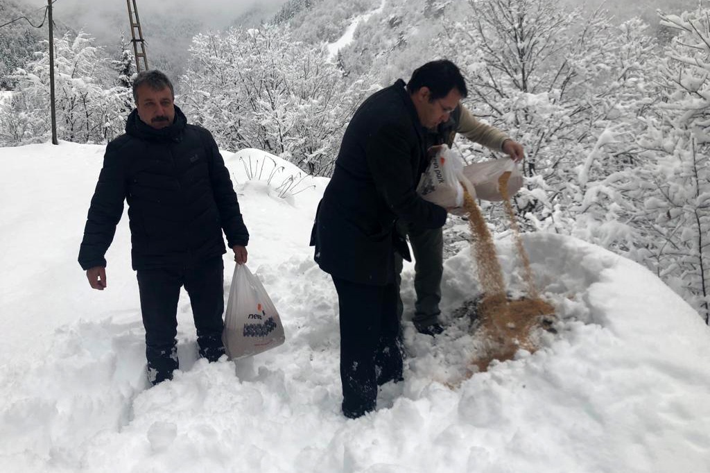 Kürtün’de yaban hayvanları için doğaya yem bırakıldı 2