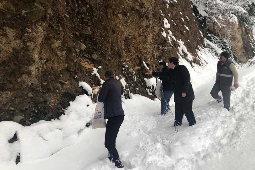 Kürtün’de yaban hayvanları için doğaya yem bırakıldı 3