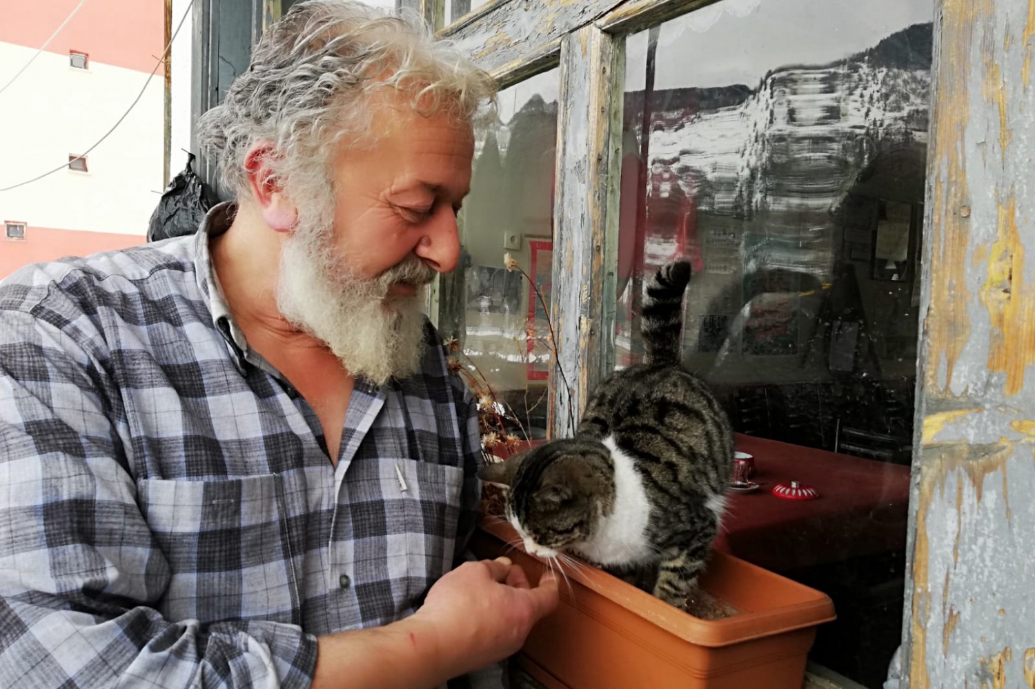 Bu kahvenin maskotu: Nazeker 2