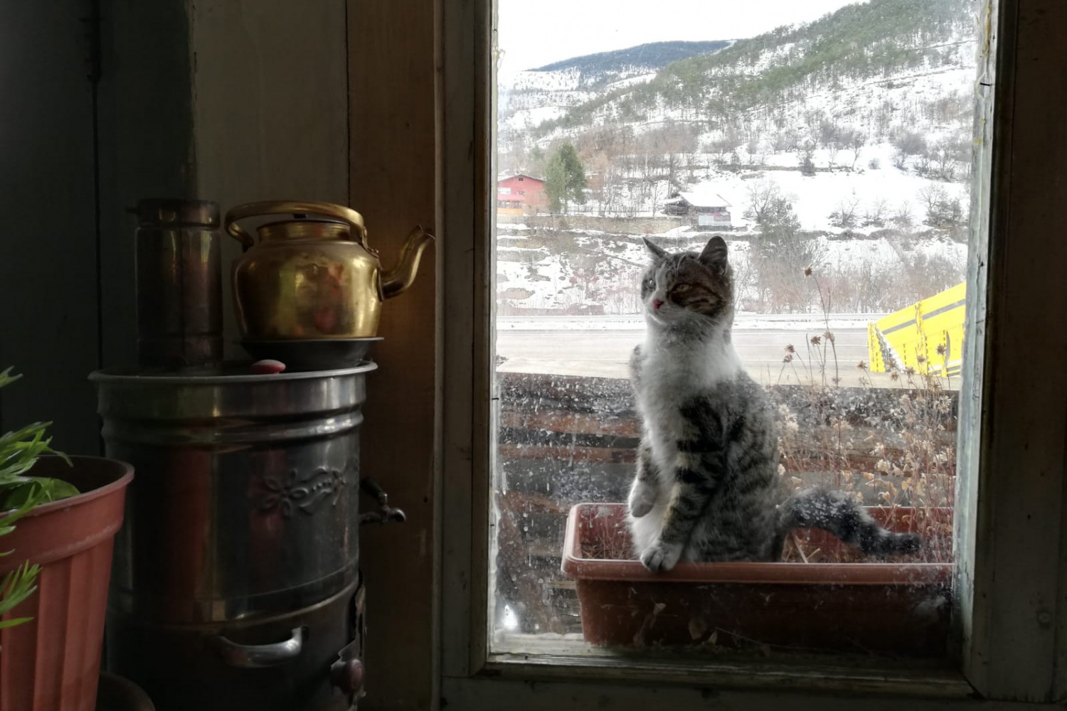 Bu kahvenin maskotu: Nazeker 5