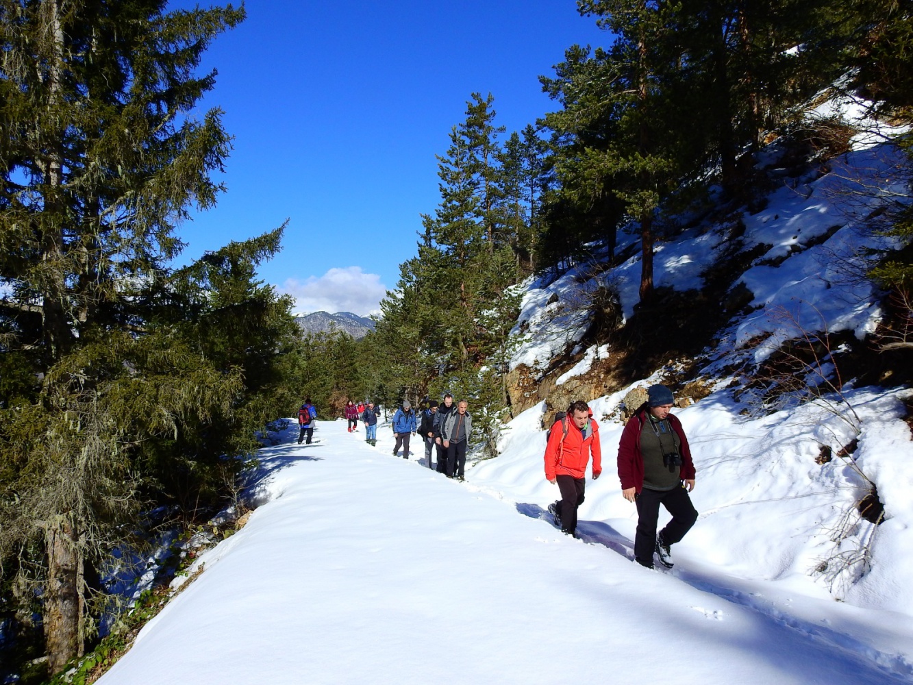 GÜDAK ve TEDAK'tan ortak yürüyüş 5