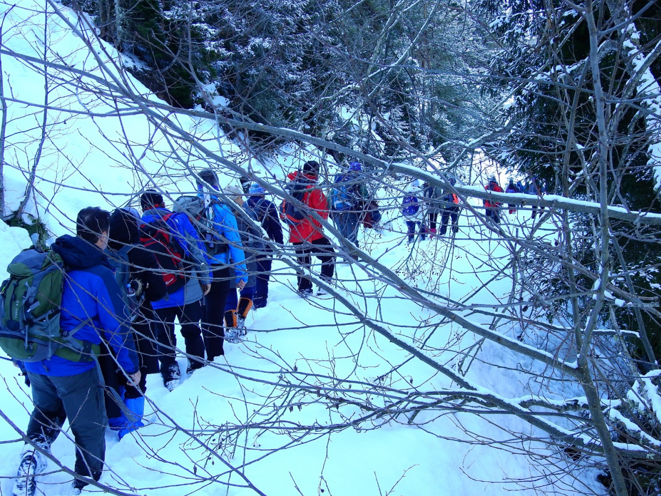 GÜDAK ve TEDAK'tan ortak yürüyüş 2
