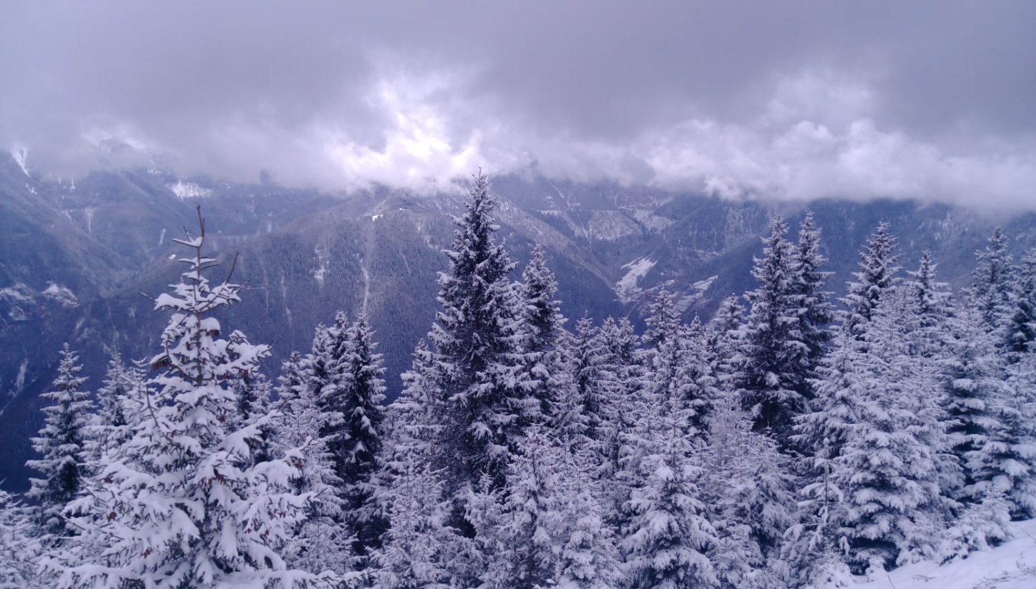 Gümüşhaneli dağcılar Çanakkale şehitleri için yürüdü 13