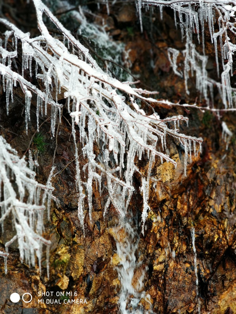 Gümüşhaneli dağcılar Çanakkale şehitleri için yürüdü 24