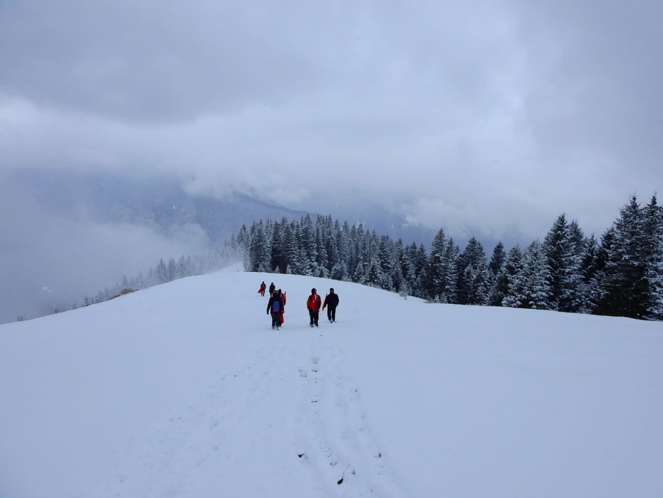 Gümüşhaneli dağcılar Çanakkale şehitleri için yürüdü 3