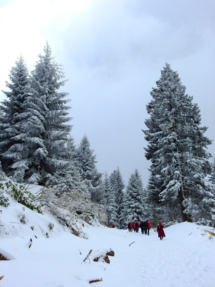 Gümüşhaneli dağcılar Çanakkale şehitleri için yürüdü 7