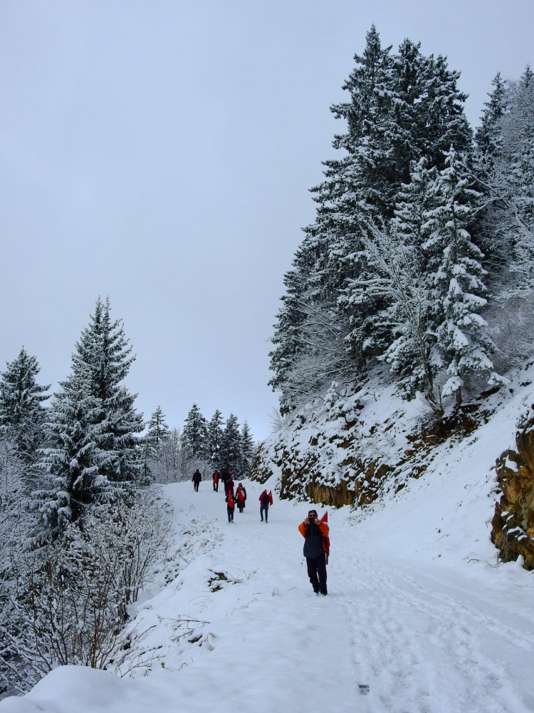 Gümüşhaneli dağcılar Çanakkale şehitleri için yürüdü 36