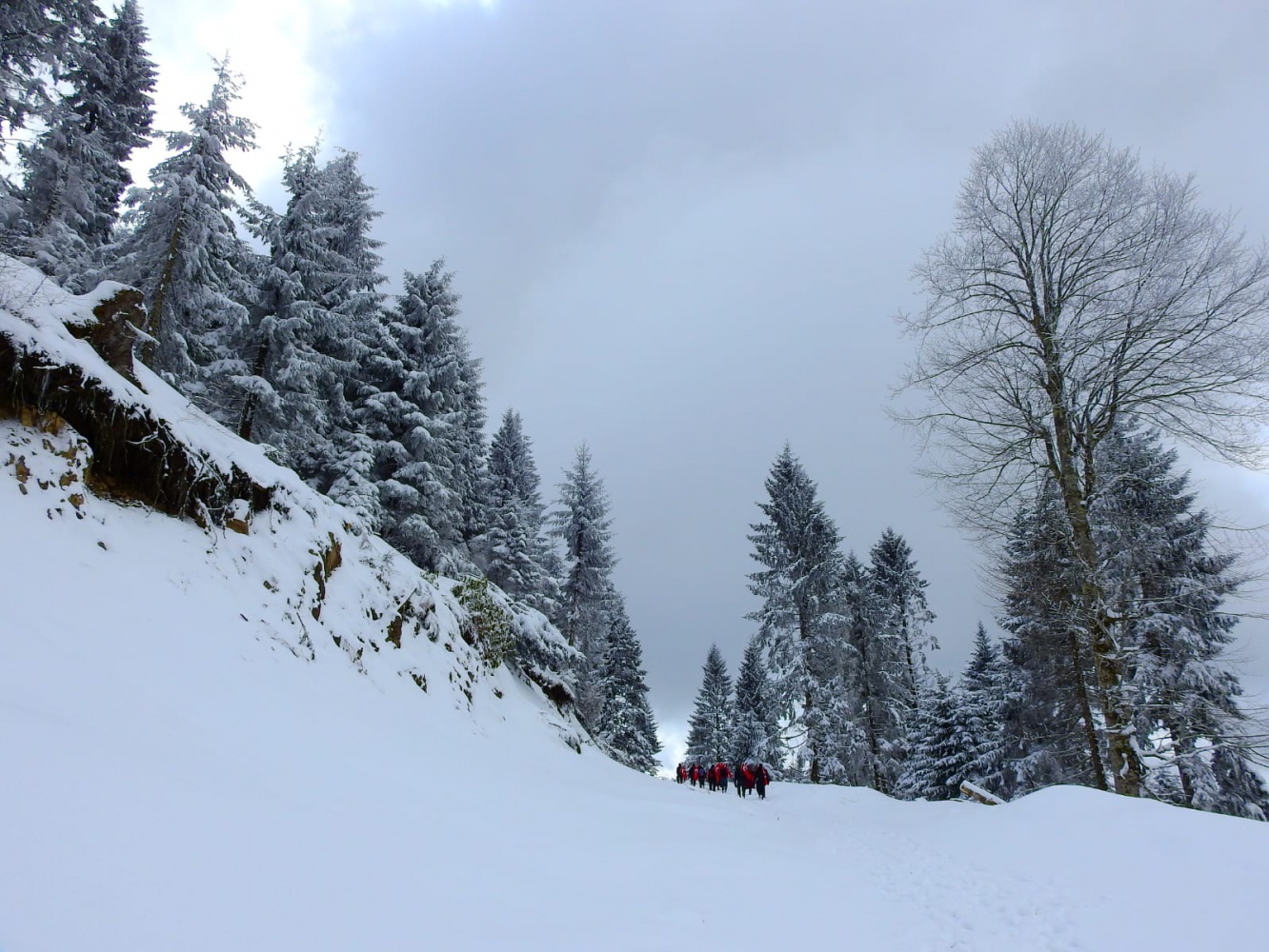 Gümüşhaneli dağcılar Çanakkale şehitleri için yürüdü 8
