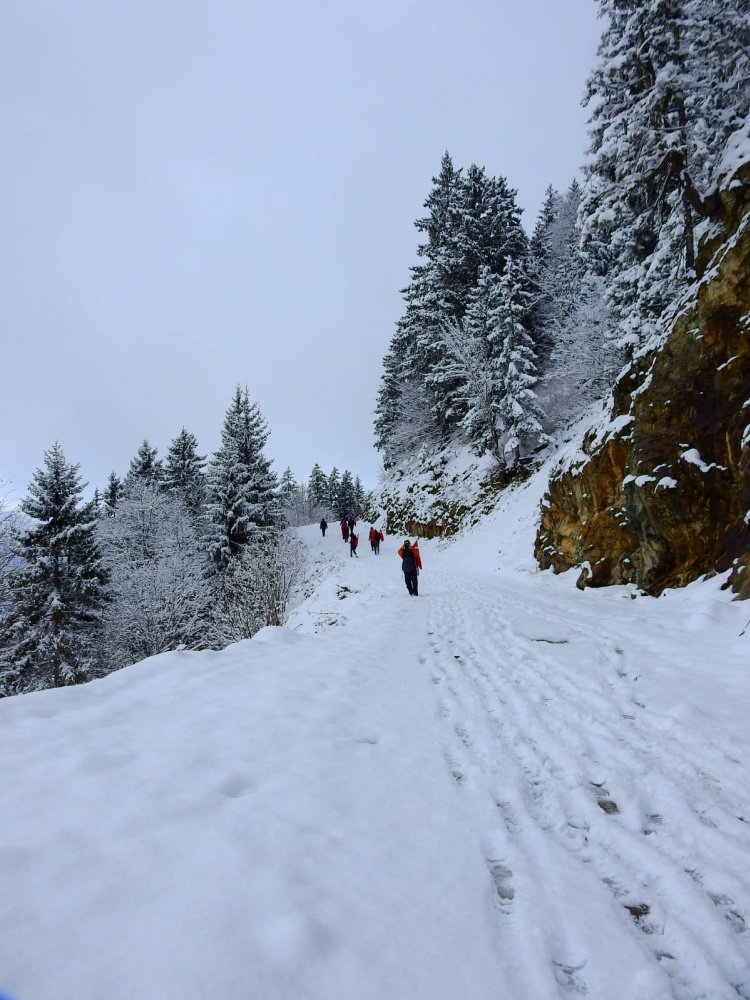 Gümüşhaneli dağcılar Çanakkale şehitleri için yürüdü 29