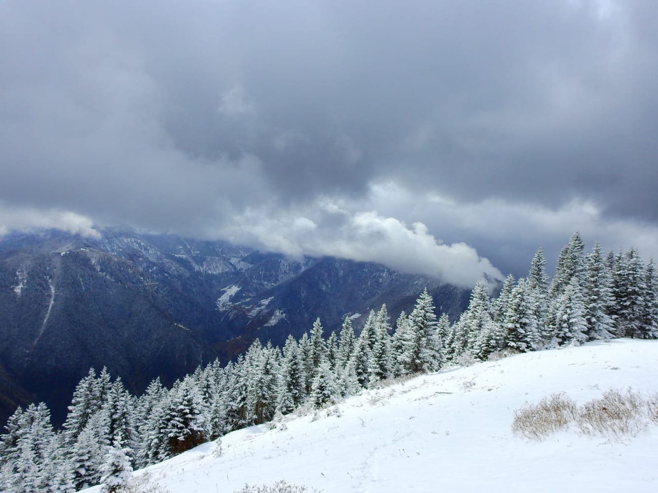 Gümüşhaneli dağcılar Çanakkale şehitleri için yürüdü 33