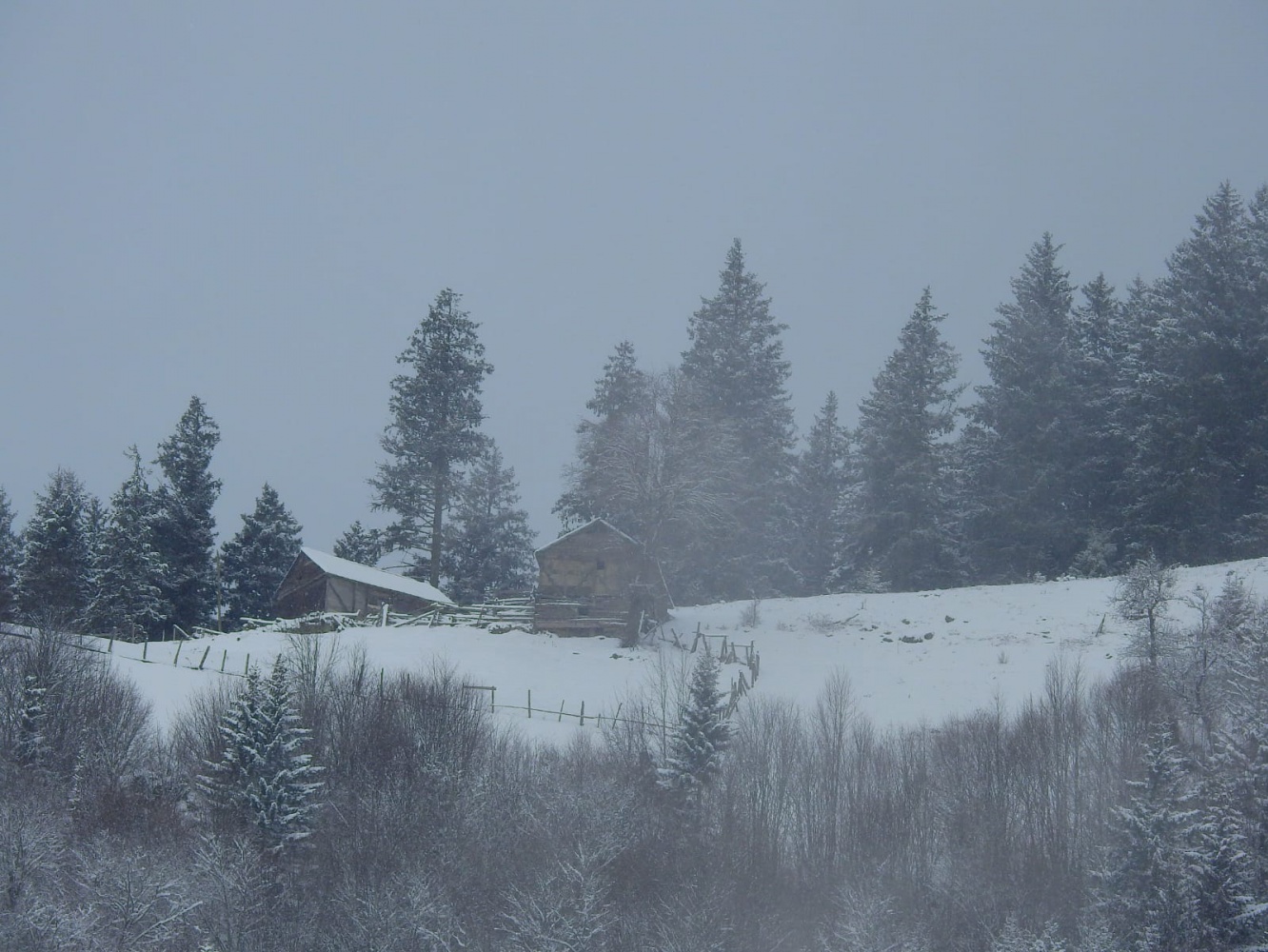 Gümüşhaneli dağcılar Çanakkale şehitleri için yürüdü 34