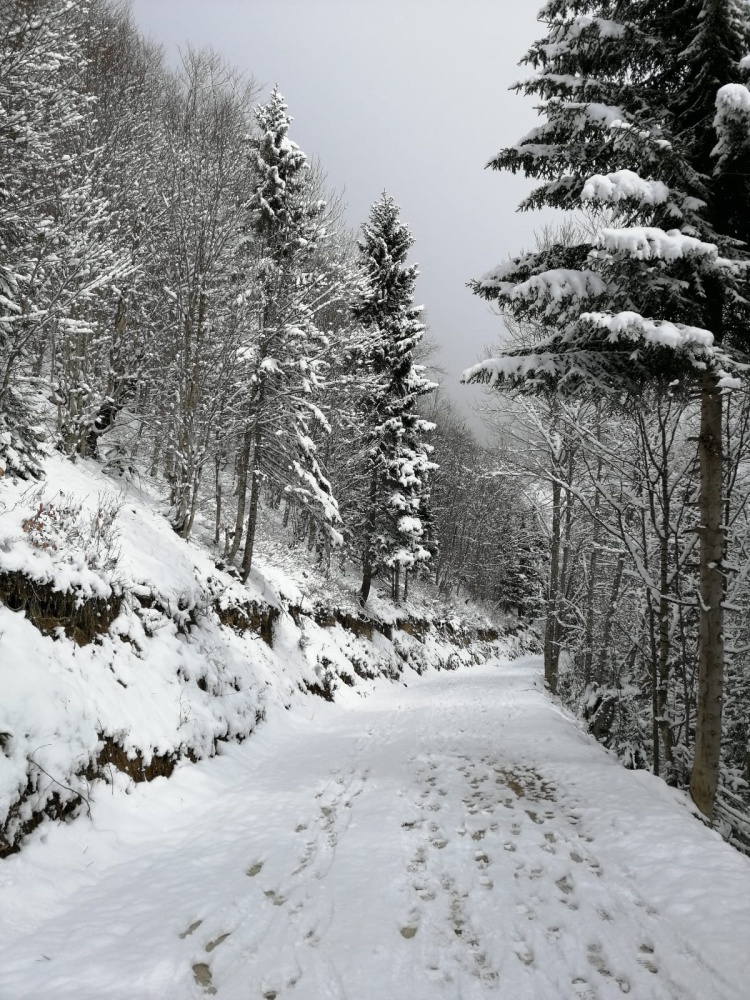 Gümüşhaneli dağcılar Çanakkale şehitleri için yürüdü 21