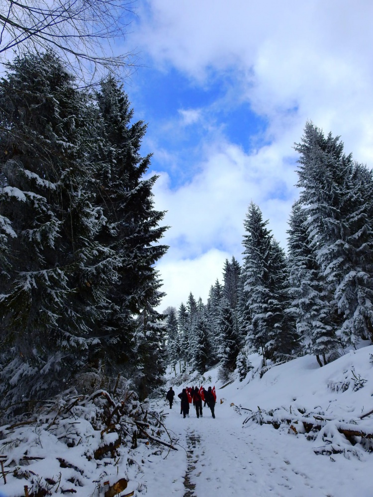 Gümüşhaneli dağcılar Çanakkale şehitleri için yürüdü 31