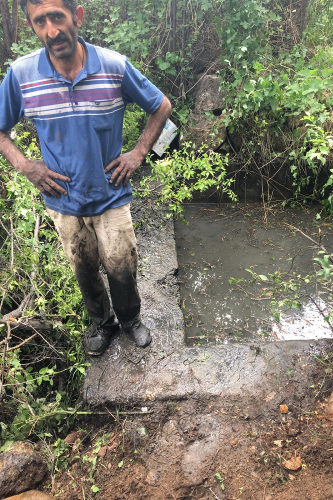 Havuza düşen inek operasyonla kurtarıldı 3