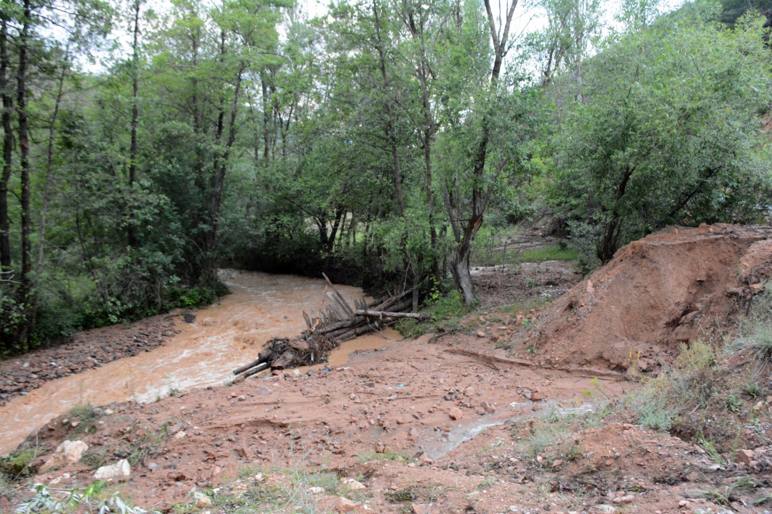 Gümüşhane’de lokal yağış sel getirdi 11