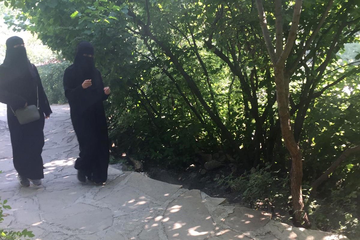 Arap turistler akın akın Tomara Şelalesine geliyor   5