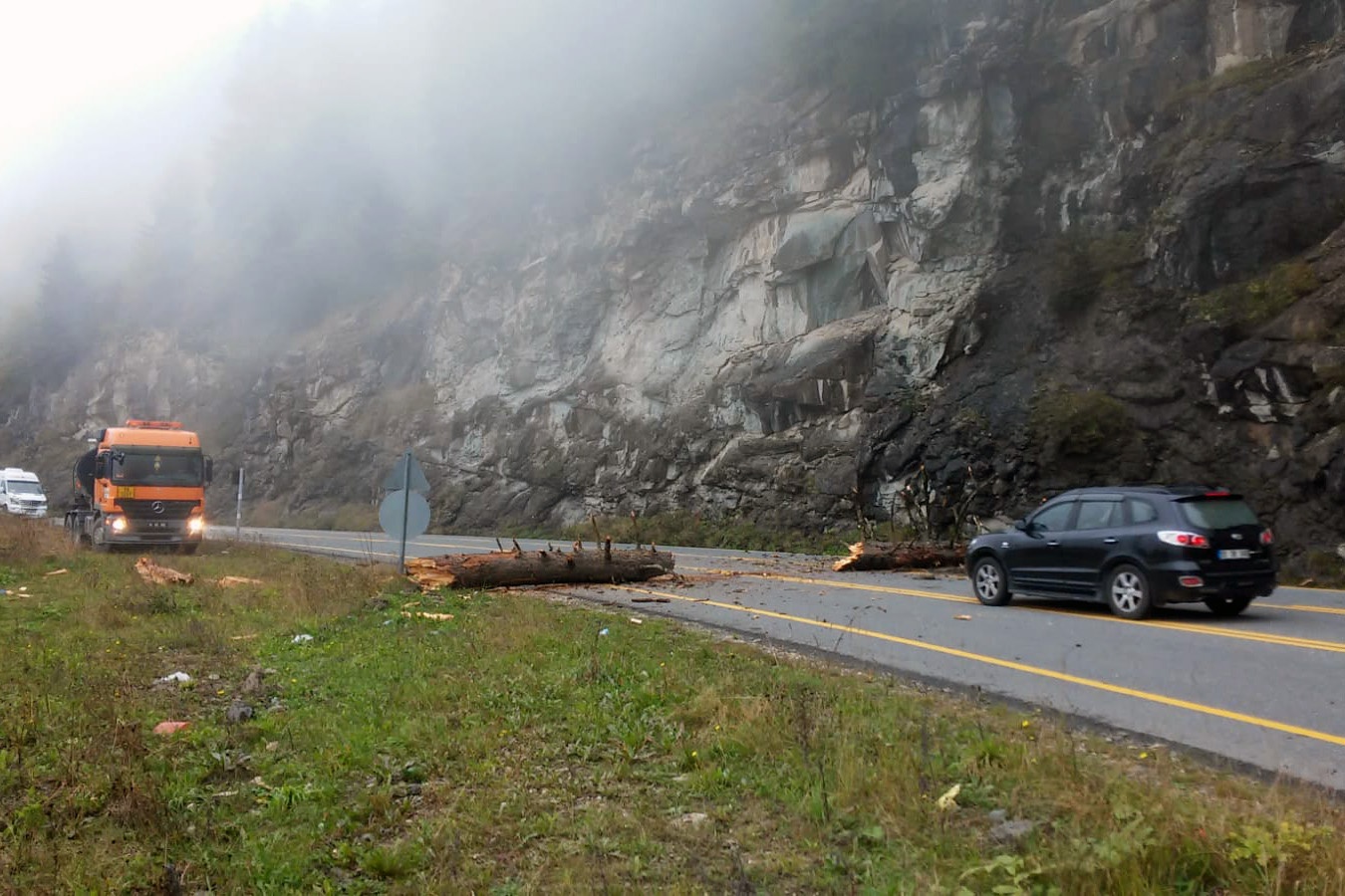 Zigana dağında dev ağaç karayoluna düştü 3