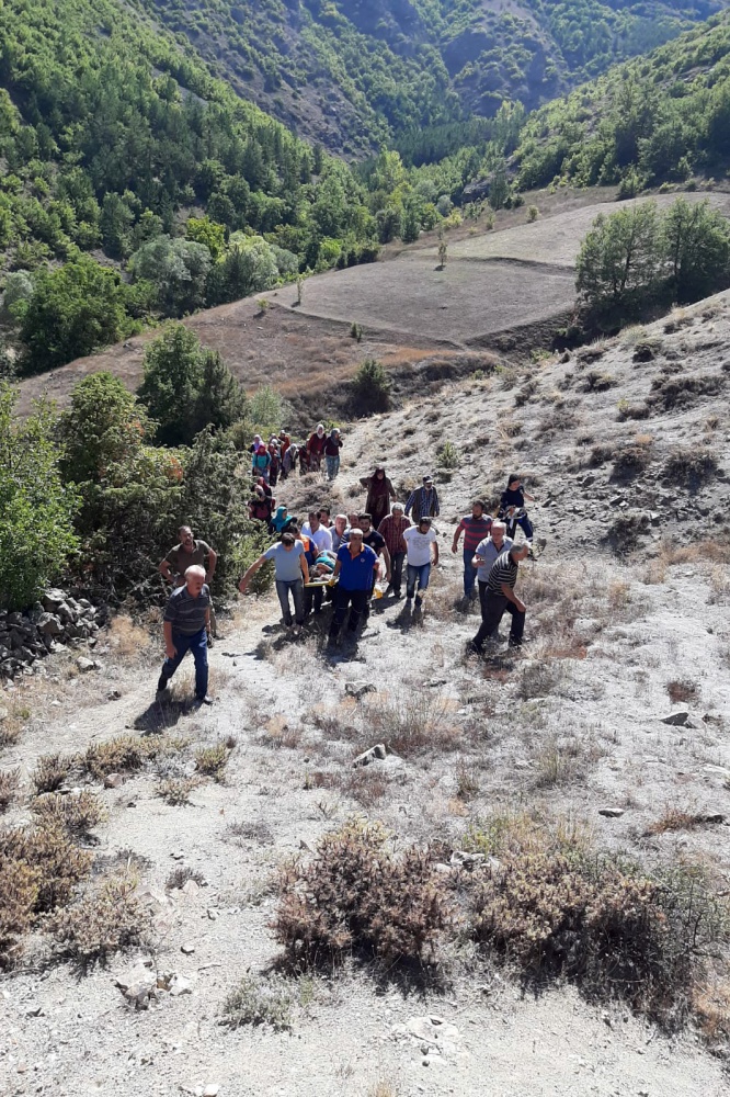 Cevizden düşen kadını bir kilometre sedyede taşıyarak ambulansa ulaştırdılar 4
