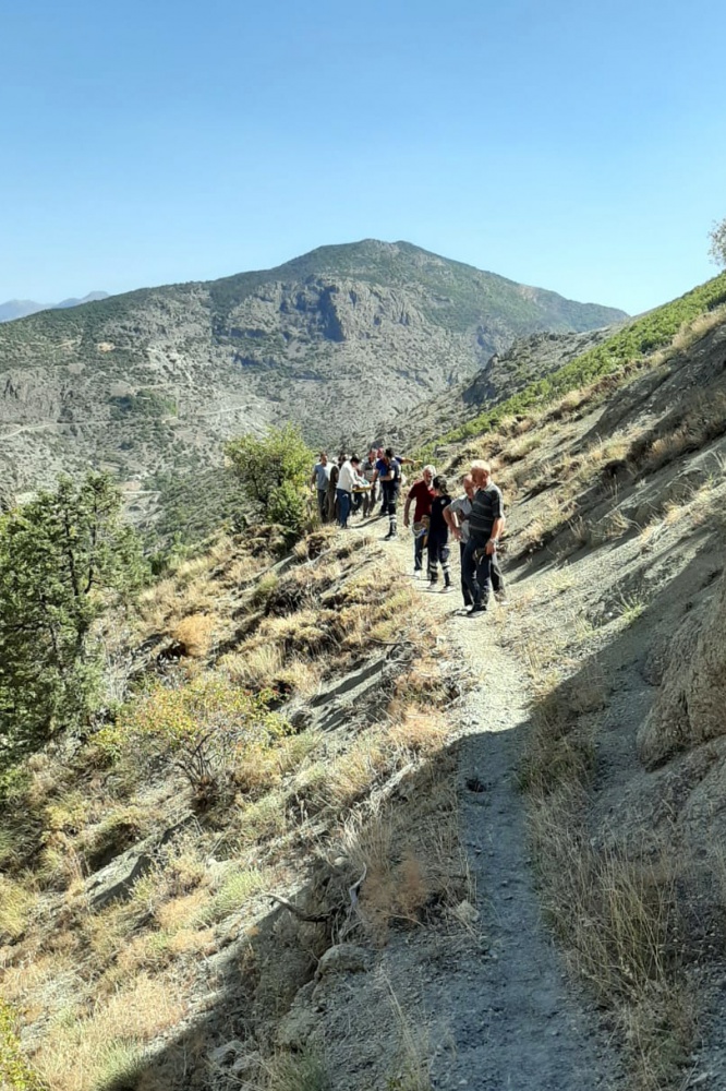 Cevizden düşen kadını bir kilometre sedyede taşıyarak ambulansa ulaştırdılar 3