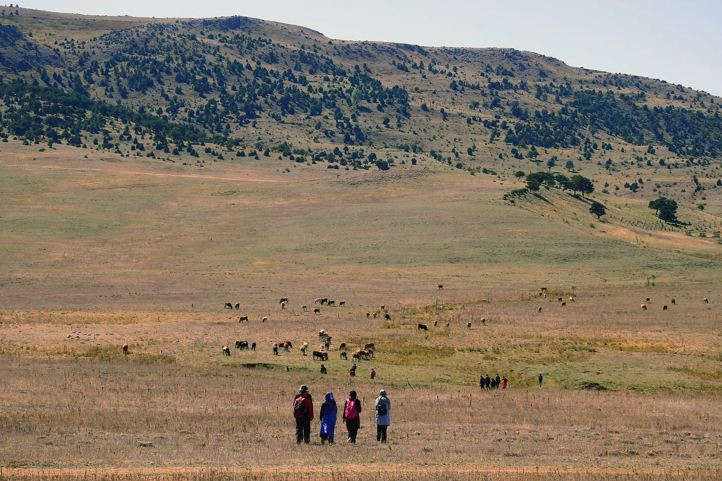 Gümüşhaneli dağcılar Kelkit’te   4