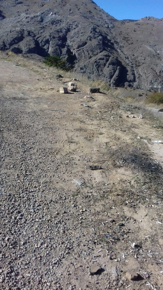 Bir kamyon dolusu şişe toplandı, devamı da var 14