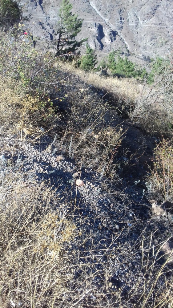 Bir kamyon dolusu şişe toplandı, devamı da var 23