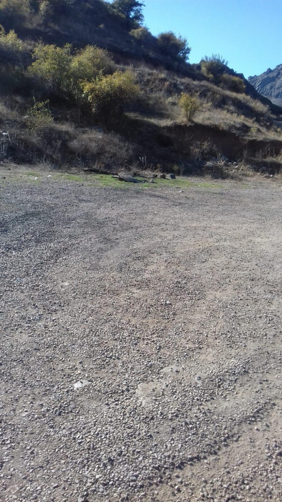 Bir kamyon dolusu şişe toplandı, devamı da var 6