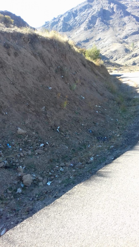 Bir kamyon dolusu şişe toplandı, devamı da var 8