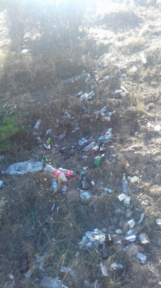 Bir kamyon dolusu şişe toplandı, devamı da var 11