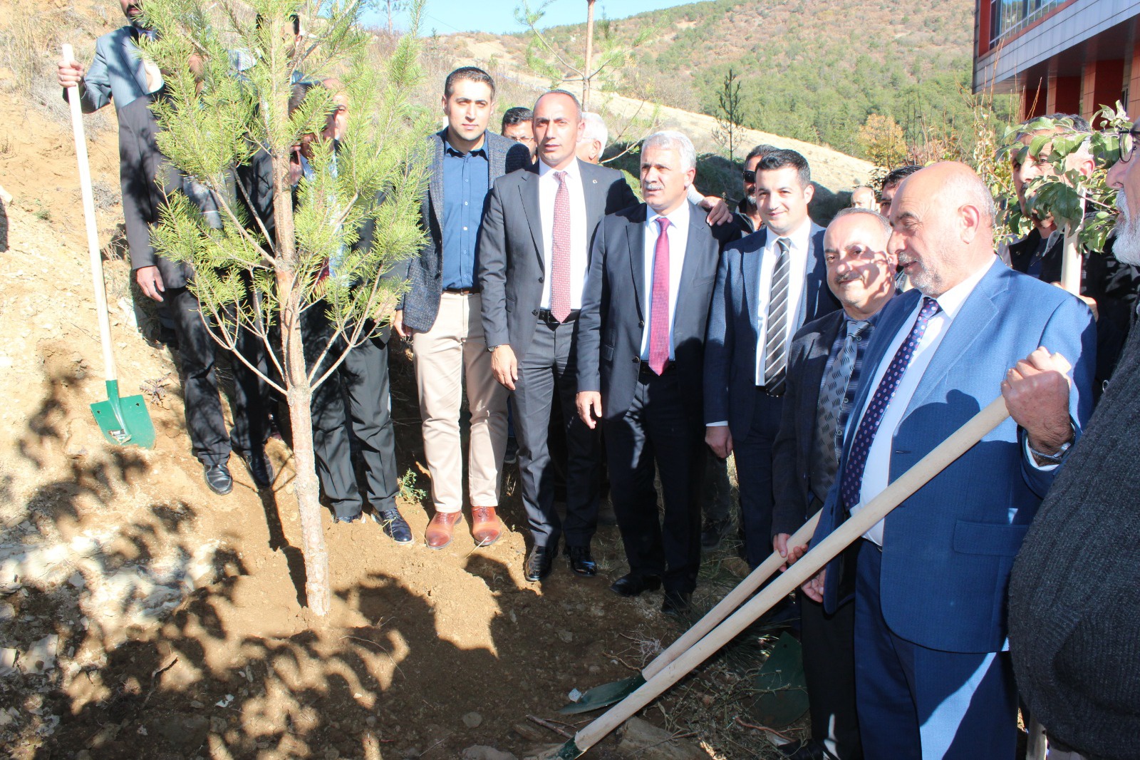 Şiran’da bir dikili ağaçları oldu 10