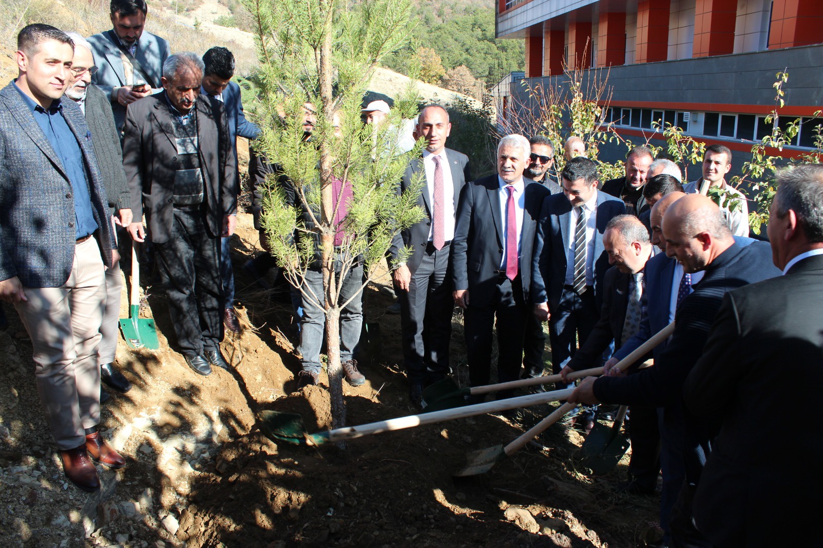 Şiran’da bir dikili ağaçları oldu 12